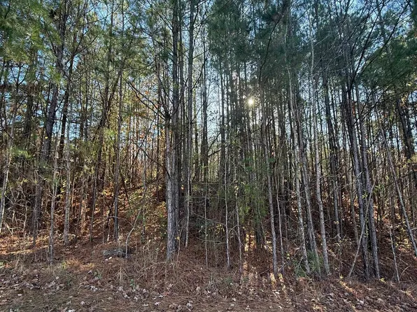 1018 Long Branch Pkwy #139, Calera, AL 35040