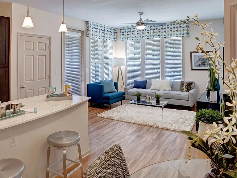 Kitchen and Living Room