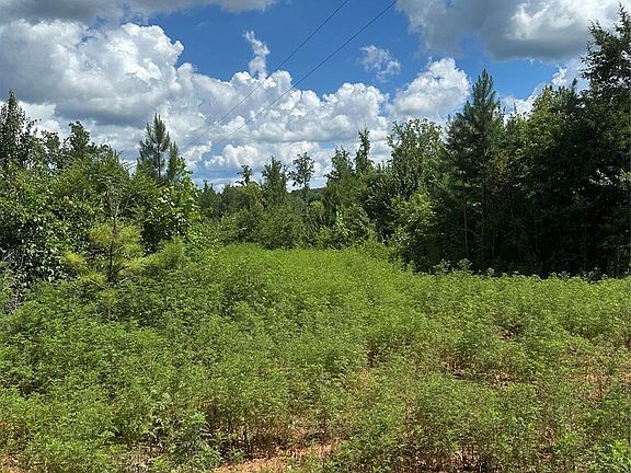 2nd image of 0 Mauney Rd