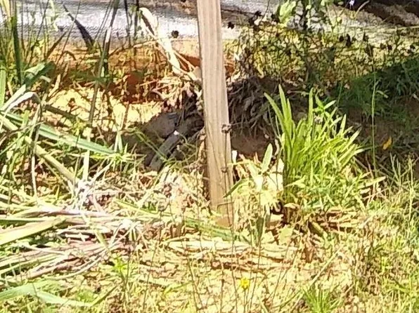 65 Coyote Run, New Waverly, TX 77358