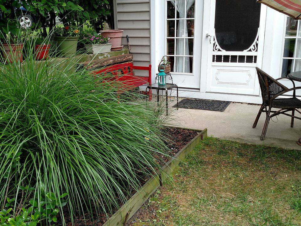 Lower Level patio & entrance