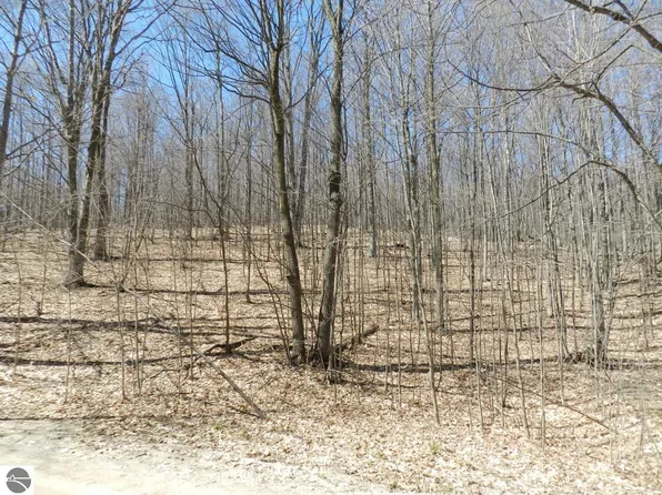 00 S Cottonwood Drive, Traverse City, MI 49684