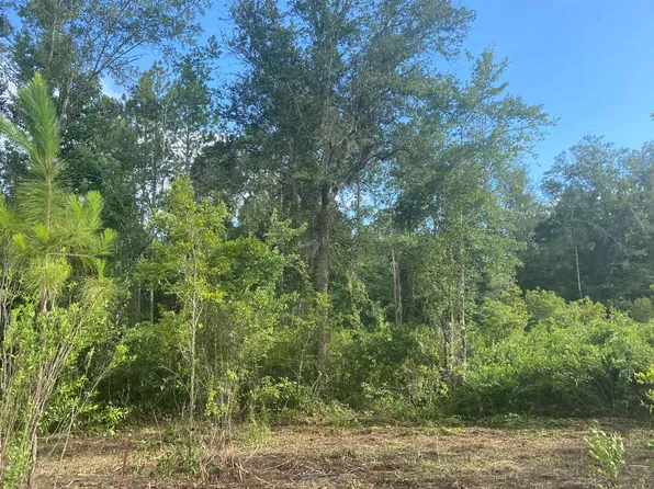 0 SE County Road 252, Lake City, FL 32025