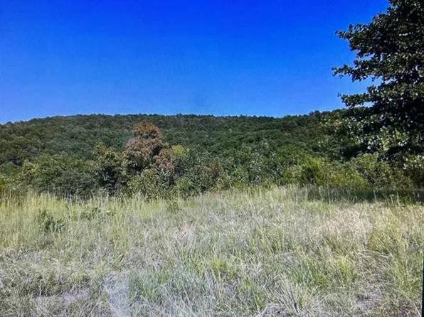 0 Spears Ln, Greenbrier, AR 72058