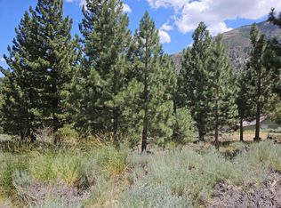 78 Matterhorn Dr, Bridgeport, CA 93517