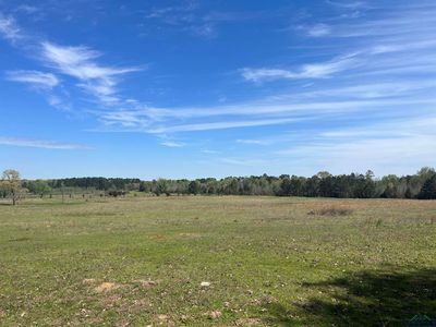 County Road 3161, Laneville, TX, 75667