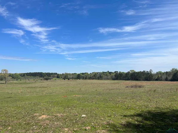 County Road 3161, Laneville, TX 75667