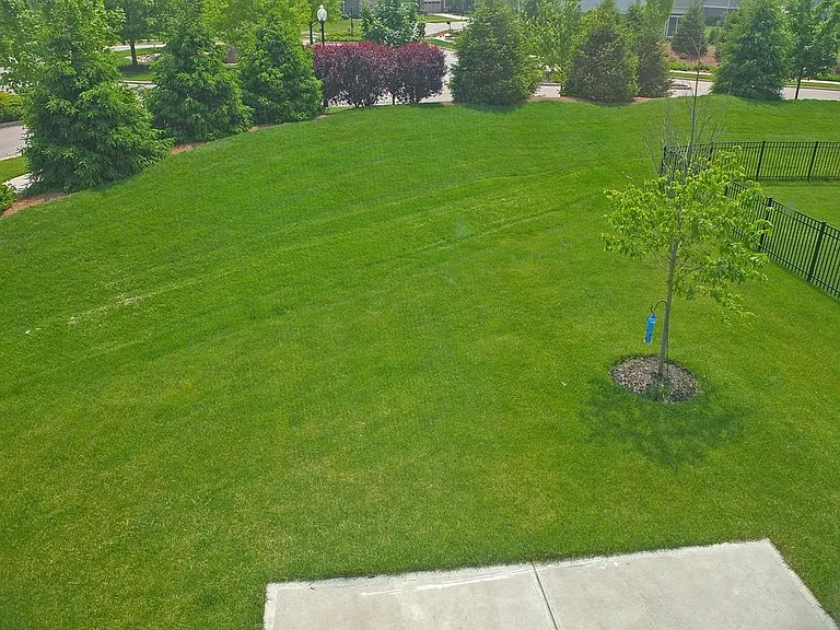 3 Shady Pines Ave — Photo 5