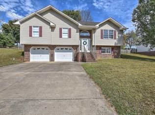 224 Mountain View Dr, Mt Carmel, TN 37645