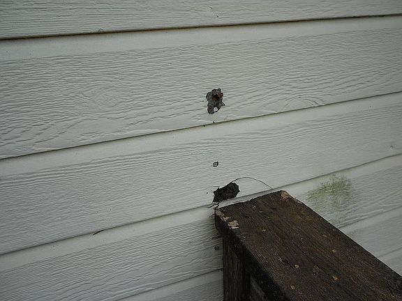 Rotted siding
