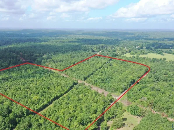 0 County Road 1617, Avinger, TX 75630