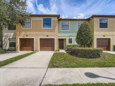 2453 Edgewater Falls Dr, Brandon, FL, 33511