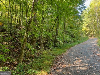 894 Newman Ct, Ranger, GA, 30734