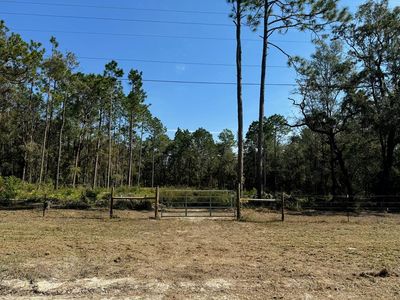  NW 22nd Ct, BELL, FL, 32619