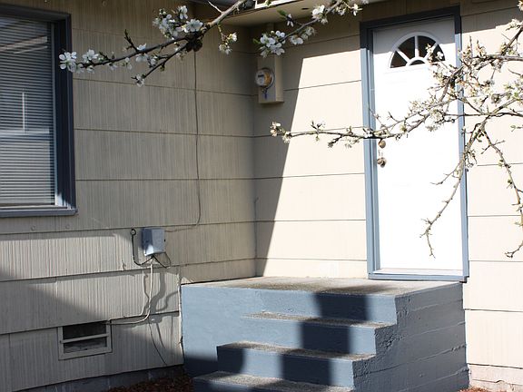 The Back Entrance