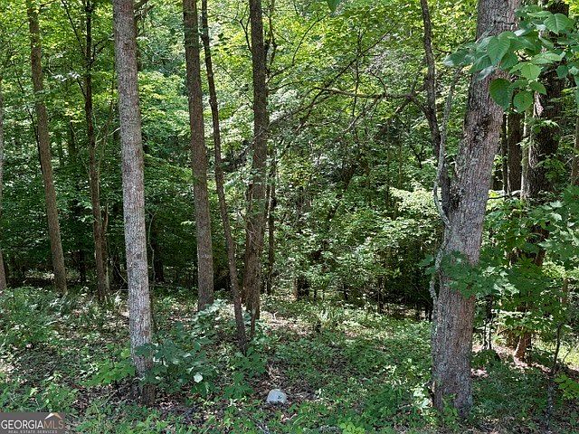 2nd image of Cherry Grove Rd