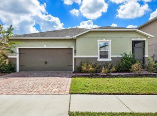 11529 Luckygem Dr, Riverview, FL 33579