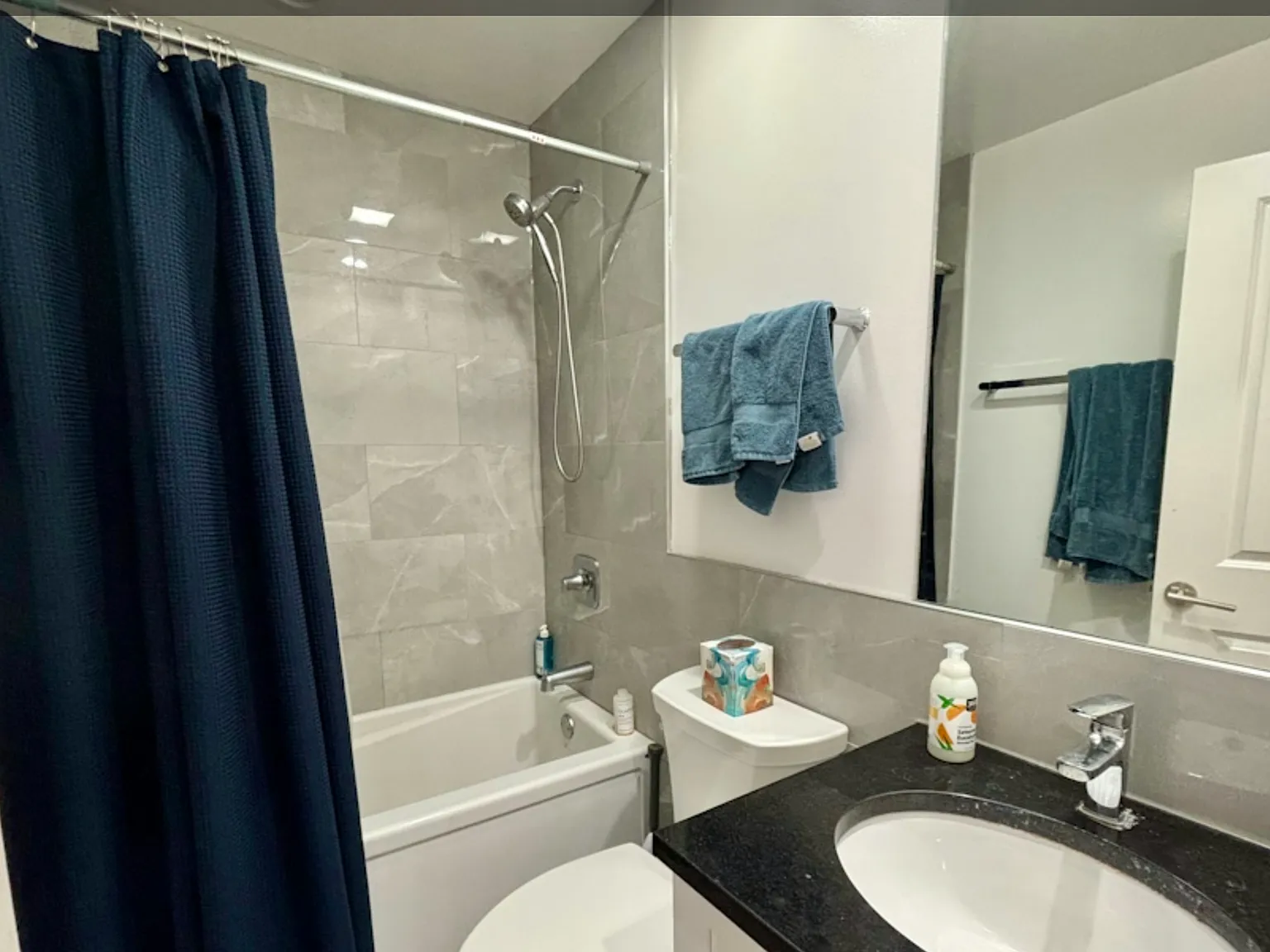 1 bed, 650 sqft, $1,600 — Photo 4