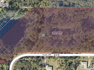 Tulip Avenue Lot #4, Eustis, FL 32736