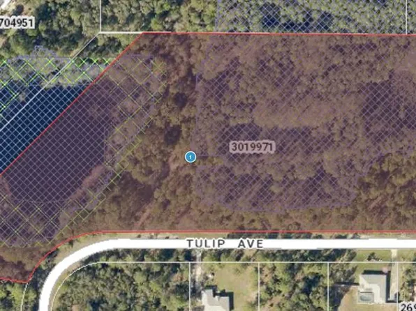 Tulip Avenue Lot #4, Eustis, FL 32736