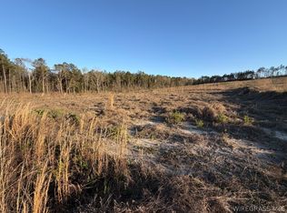 0 County Road 105, Jack, AL 36346