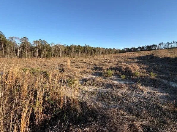 0 County Road 105, Jack, AL 36346