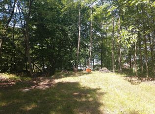 9858 Chippewa St, Evart, MI 49320