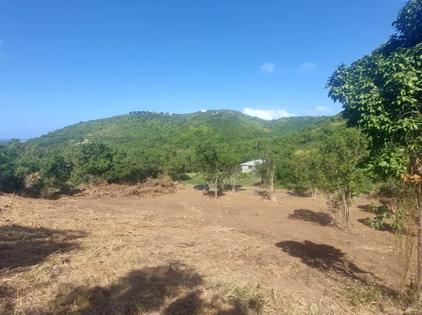 177-A Union & Mt. Wash EA, St. Croix, VI 00820