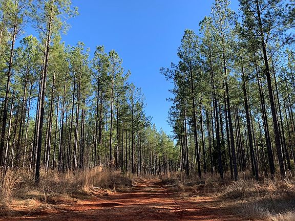 2nd image of Lee Road 333
