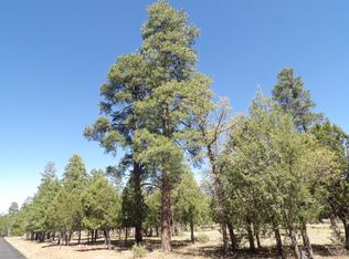 4674 Stargazer Dr, Happy Jack, AZ 86024