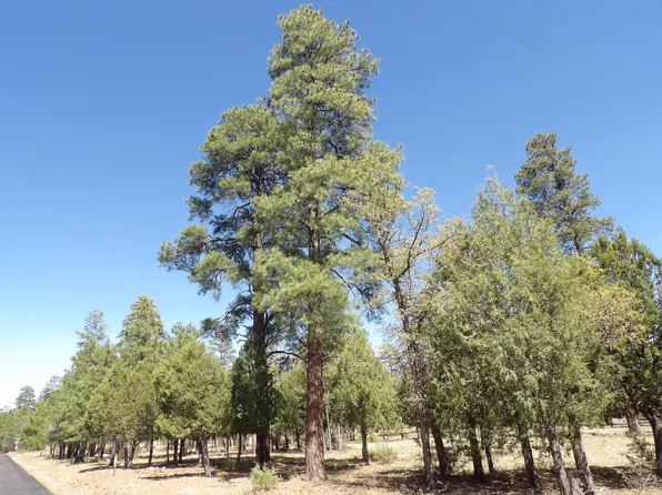 4674 Stargazer Dr, Happy Jack, AZ 86024