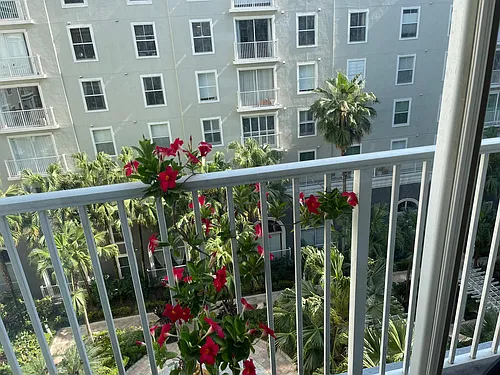 700 S Harbour Island Blvd Photo 1