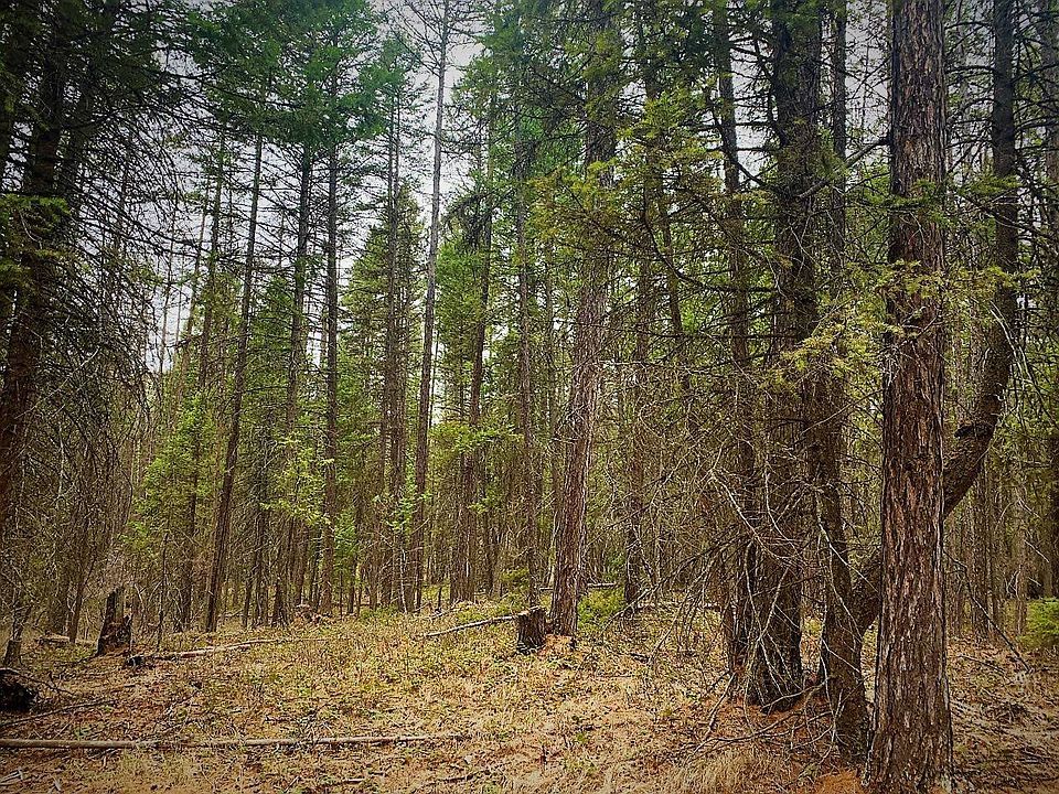 2nd image of 151 Alabama Dr
