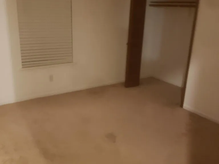 119 Wolfbay Cir — Photo 32