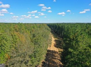 LOT 11 Lower Rocky Springs Rd, Eastman, GA 31023