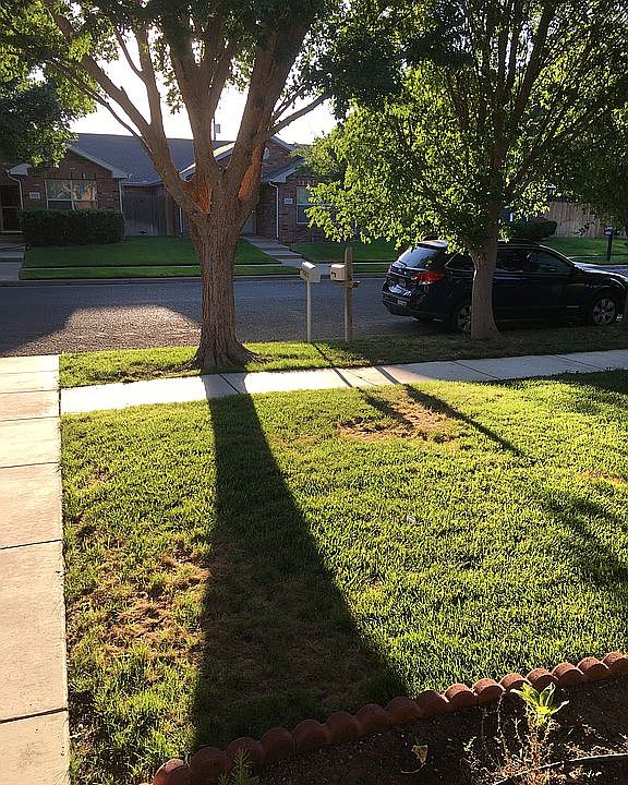 Front Yard