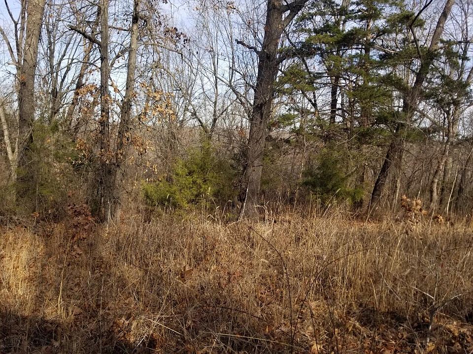 Dogwood pic