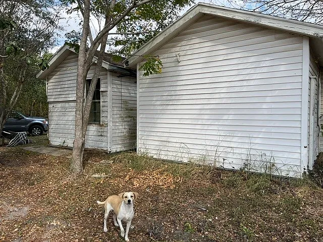 3 bed, 2.0 bath, 1485 sqft, $1,300 — Photo 3