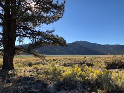 1866 Cinnabar Rd, Big bear city, CA, 92314