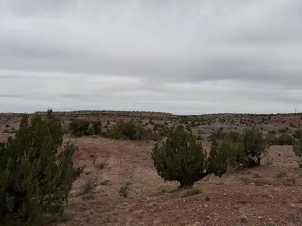 N6124 N N6124 -- #202-44-022, St Johns, AZ 85936