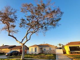 11247 Grayridge Dr, Culver City, CA