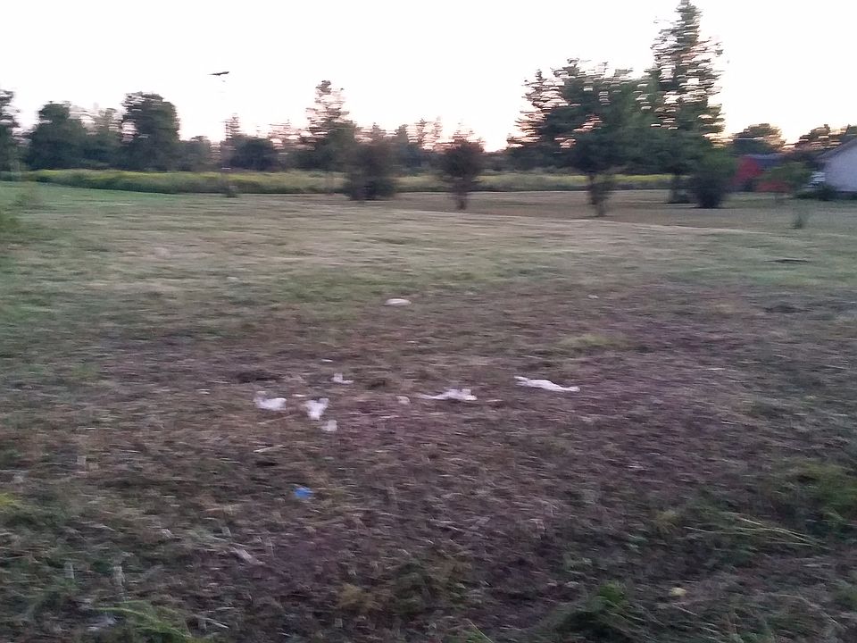 2nd image of 1586 Co Rd 36