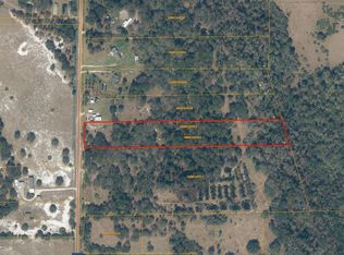 16912 Alderman Turner Rd, Wimauma, FL 33598