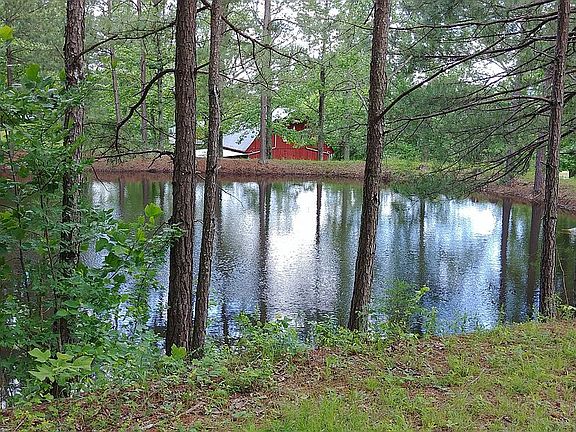 Pond
