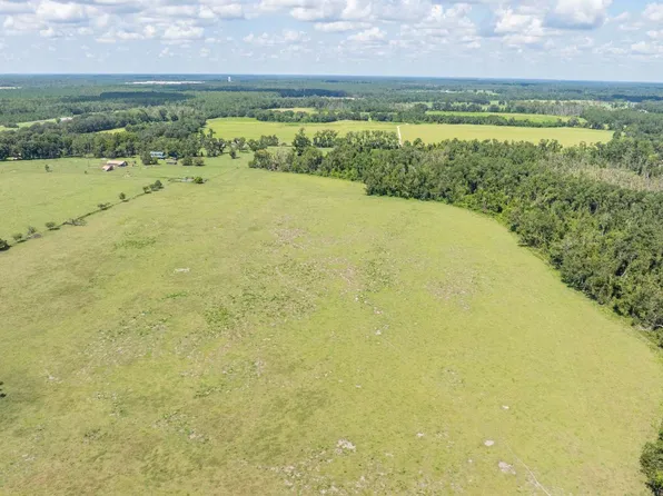 Hogan Rd, Wellborn, FL 32094