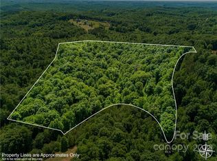 0 Wildwood Ln, Rutherfordton, NC 28139