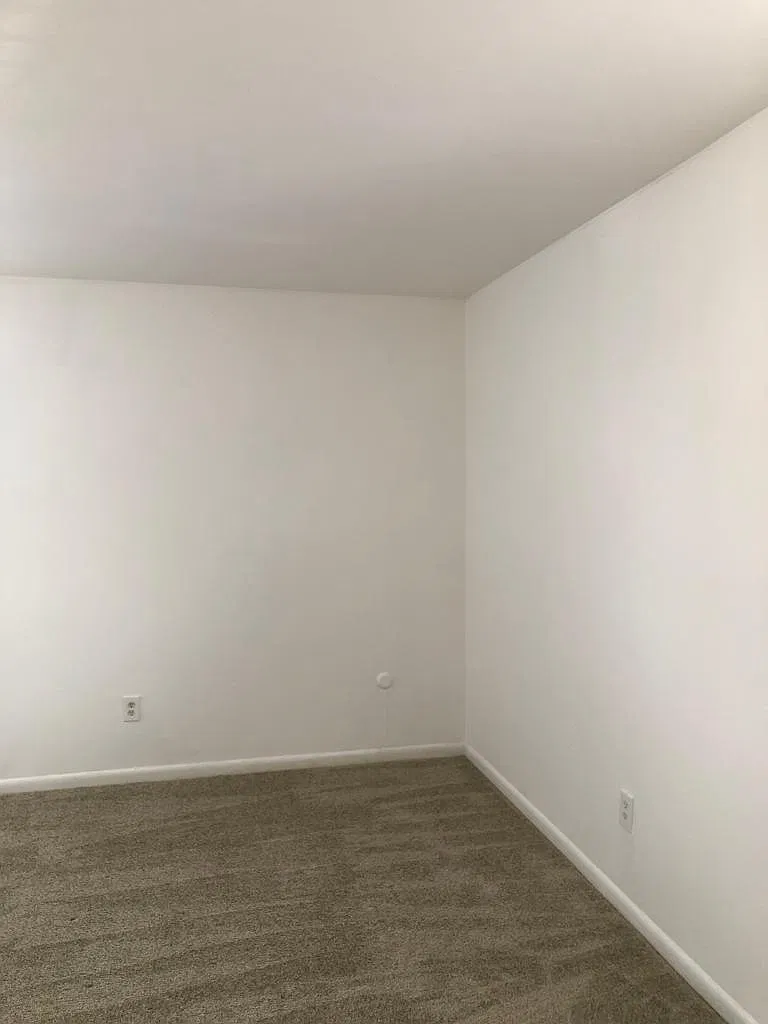 1 bed, 800 sqft, $980 — Photo 2
