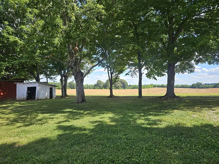 1699 Hooper Hollow Rd — Photo 10