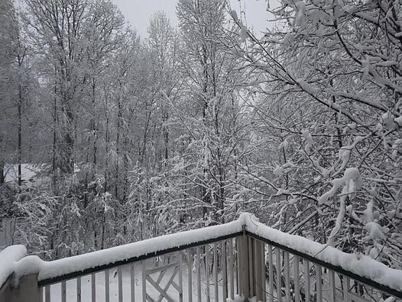 3rd image of 310 Turkey Knob Trail