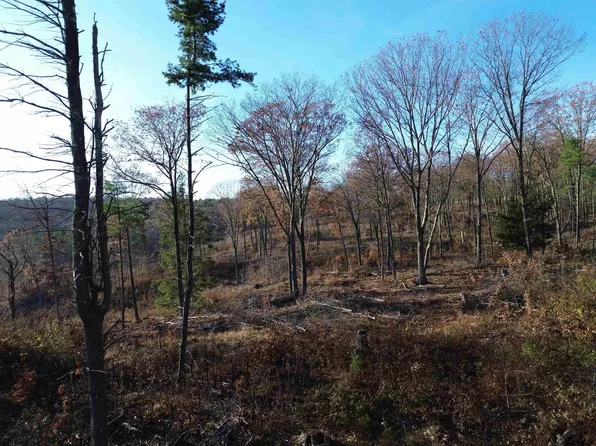 0 Parker Hill Road, Rockingham, VT 05101